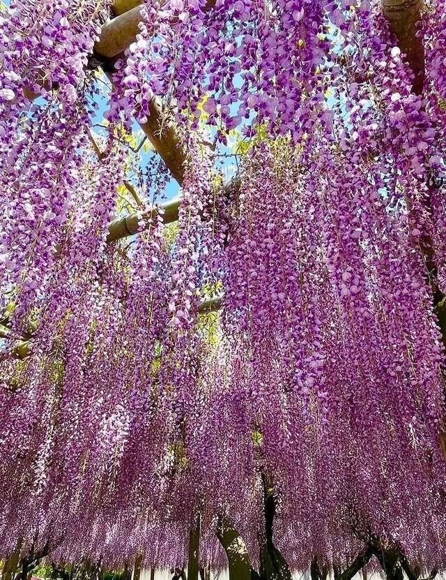 お誘い(*>ω<*)♡ありがとうございましたぁ🫶