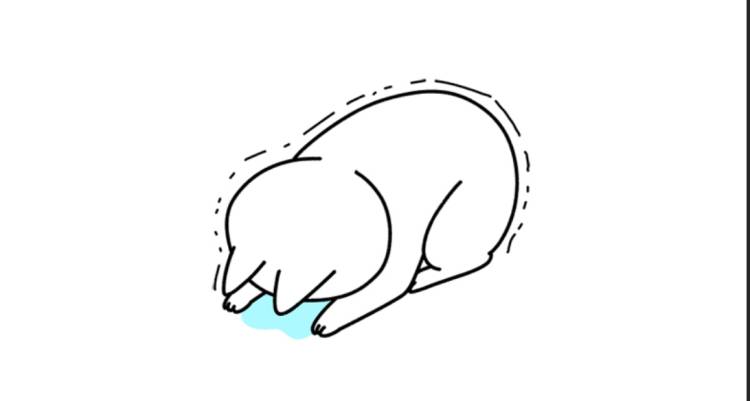 明日は！！！