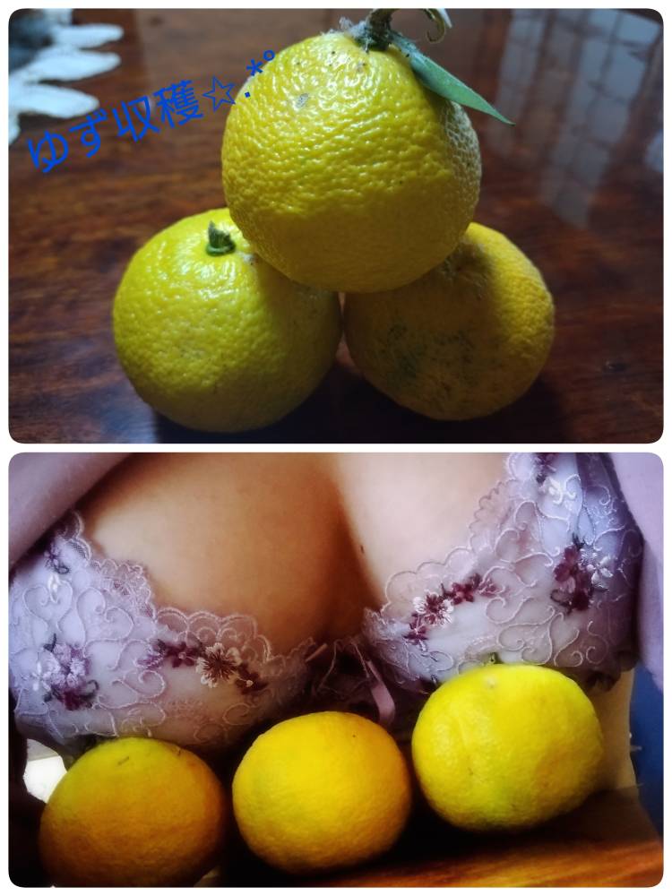 あられ1383=°ω°=