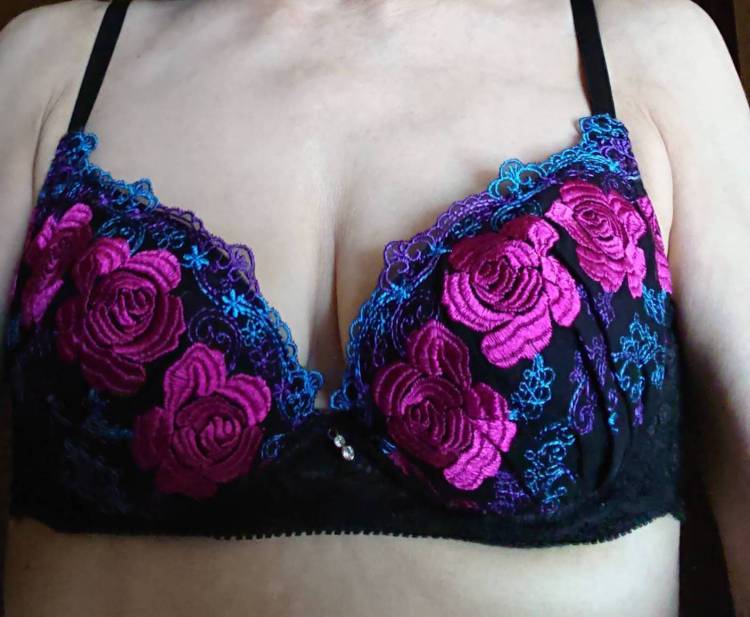 お天気良いですね