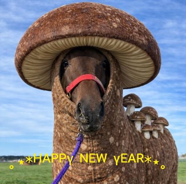 明けましておめでとうございます🍊