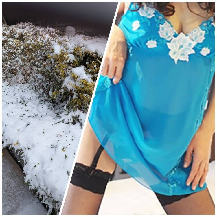 雪振ってますね