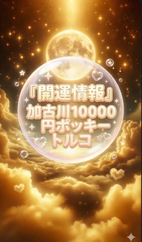 トルコ（加古川10000円ポッキー）