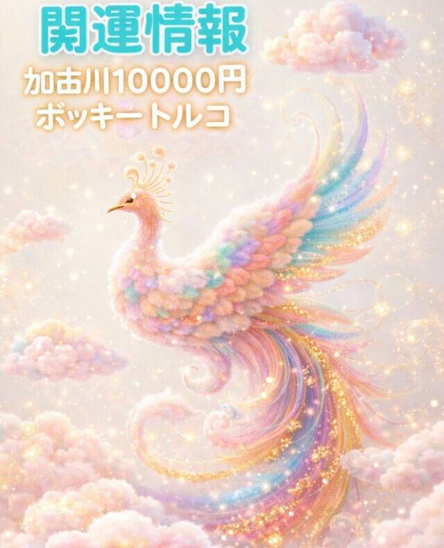 トルコ（加古川10000円ポッキー）