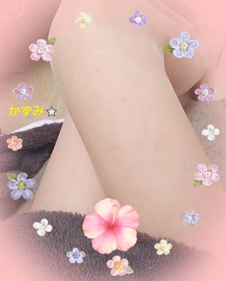 今日は脚