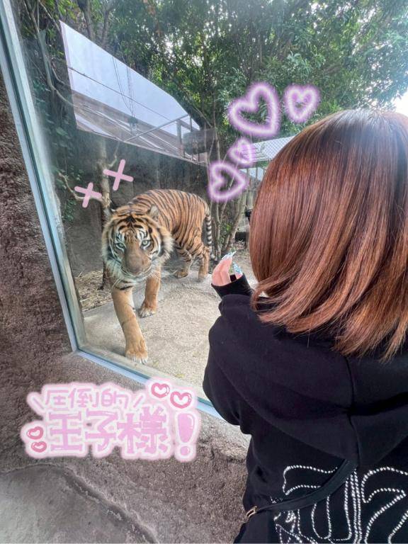 しゅきん?