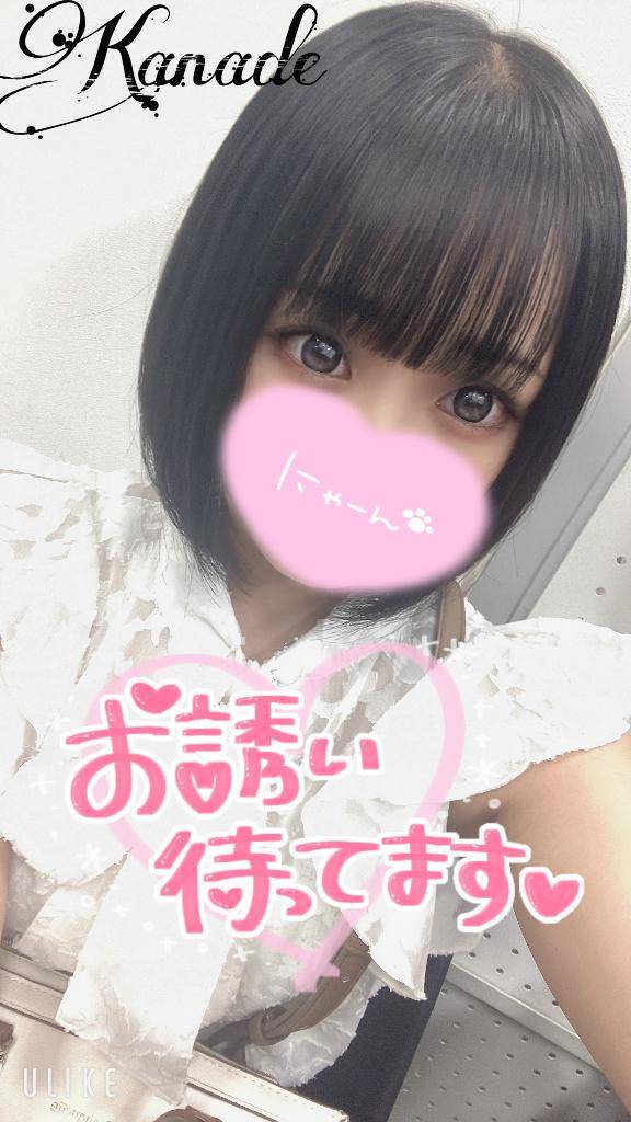 今日も?