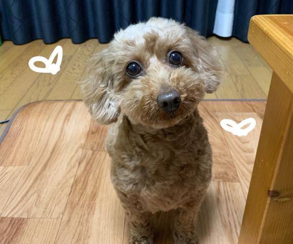 今日います?