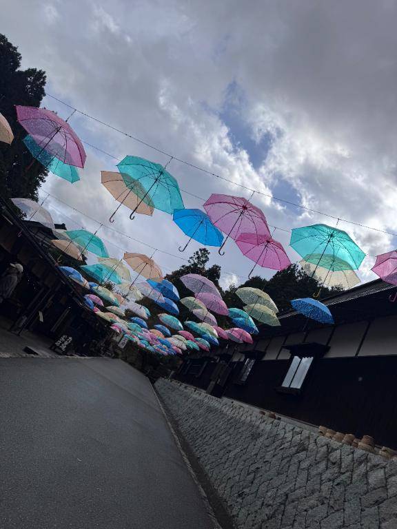 お久しぶりですのー！