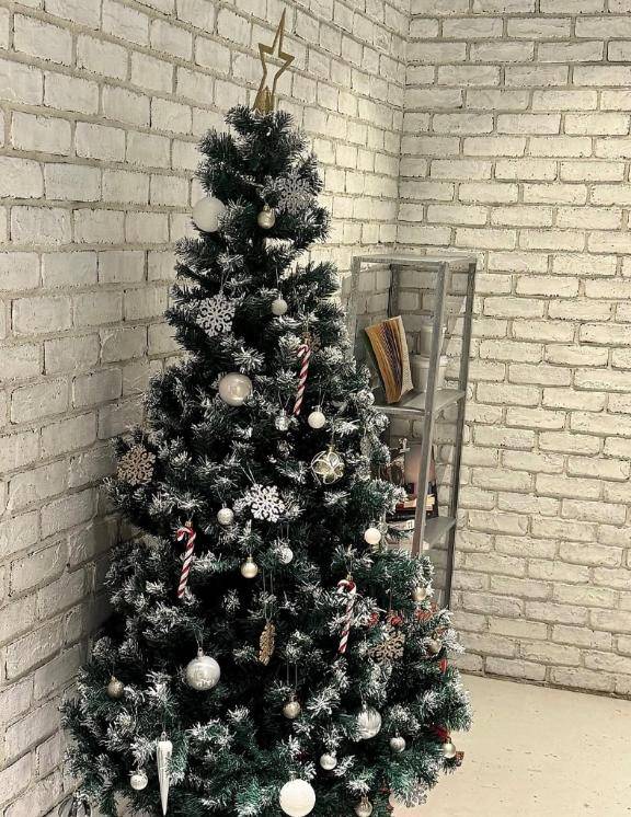 ?１２月スタート?