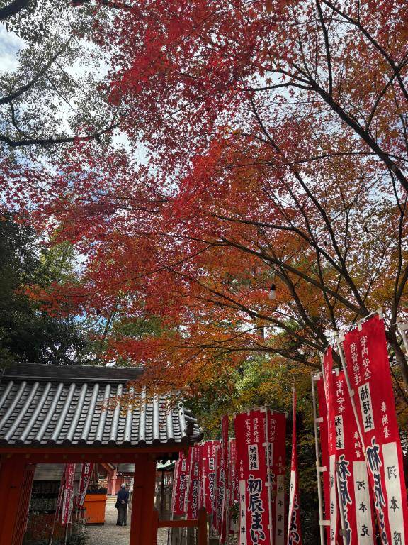 今日すーさんぽ??