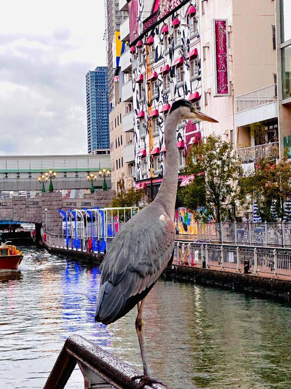 天使　ドキン（アムール）