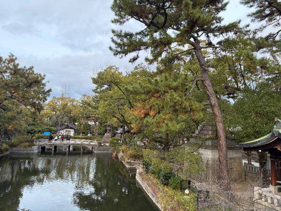 おはようございます??