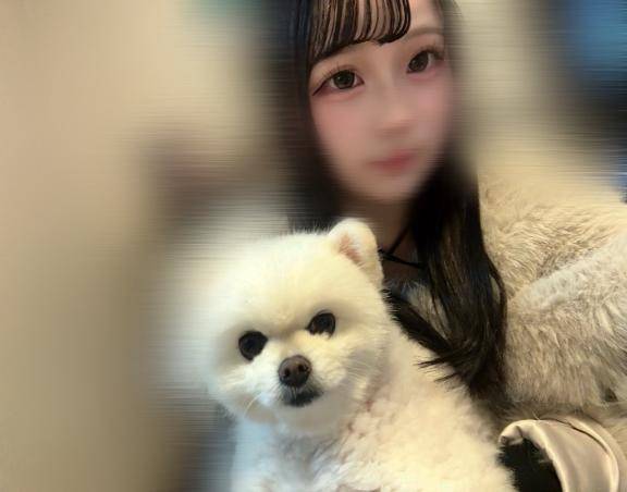 あけおめ　今日から復活??