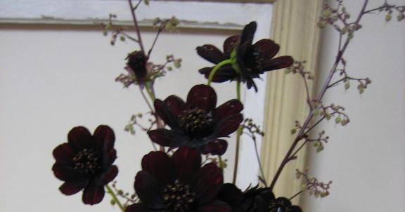 あけおめ＆年始出勤?