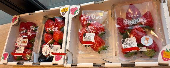 今日の美味日記??