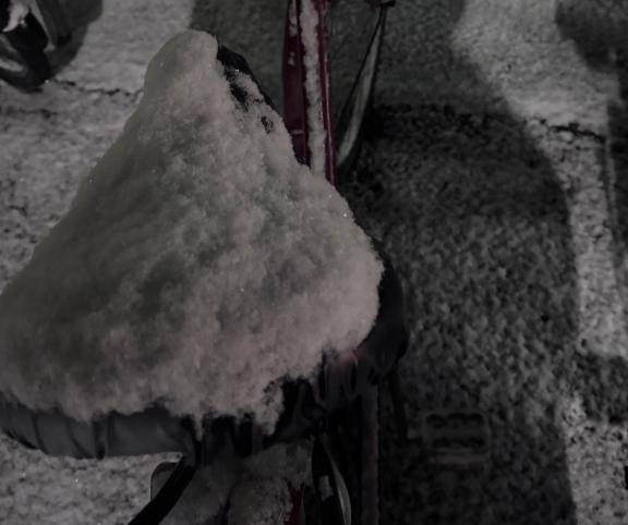 レナ（アムール）