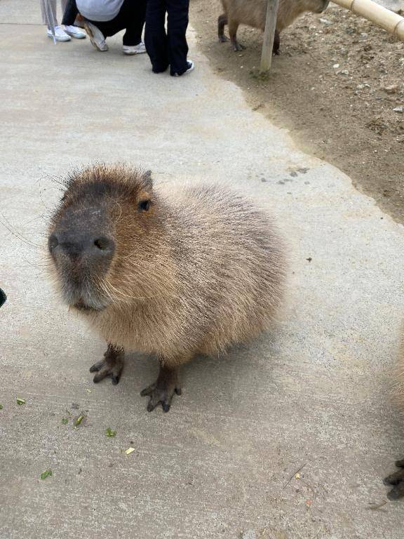 今日から、言ってこう！