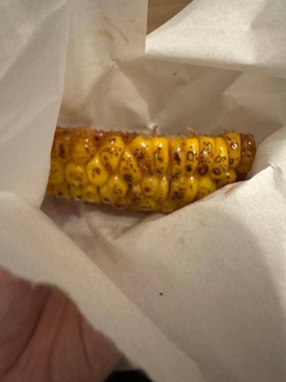 もっと…( ･??･? )