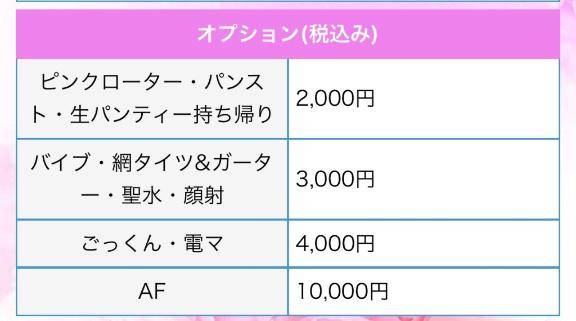 うさぎのオプションについて?