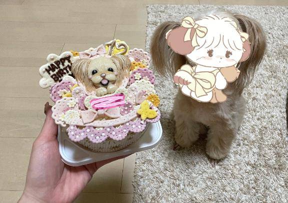 ちょ！見てみて！