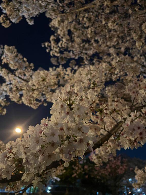 ?あと1枠(?)です??