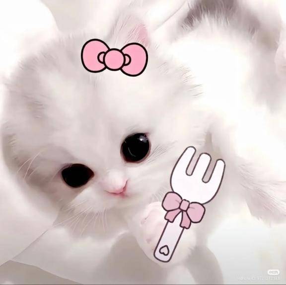 やっとーー！！