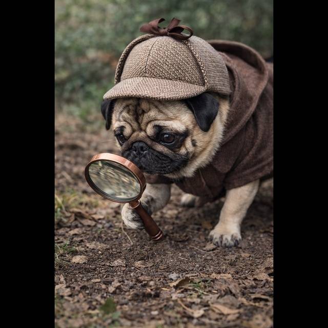 謎が謎を呼ぶ失踪事件…。