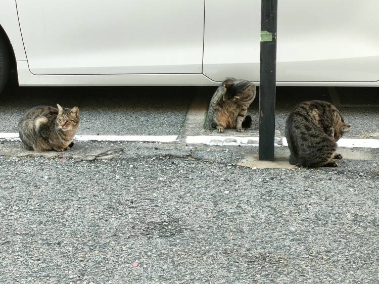 ちょっといいことありました♪