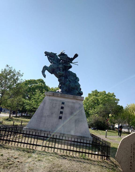 見てみたかった