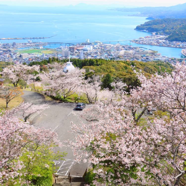もも