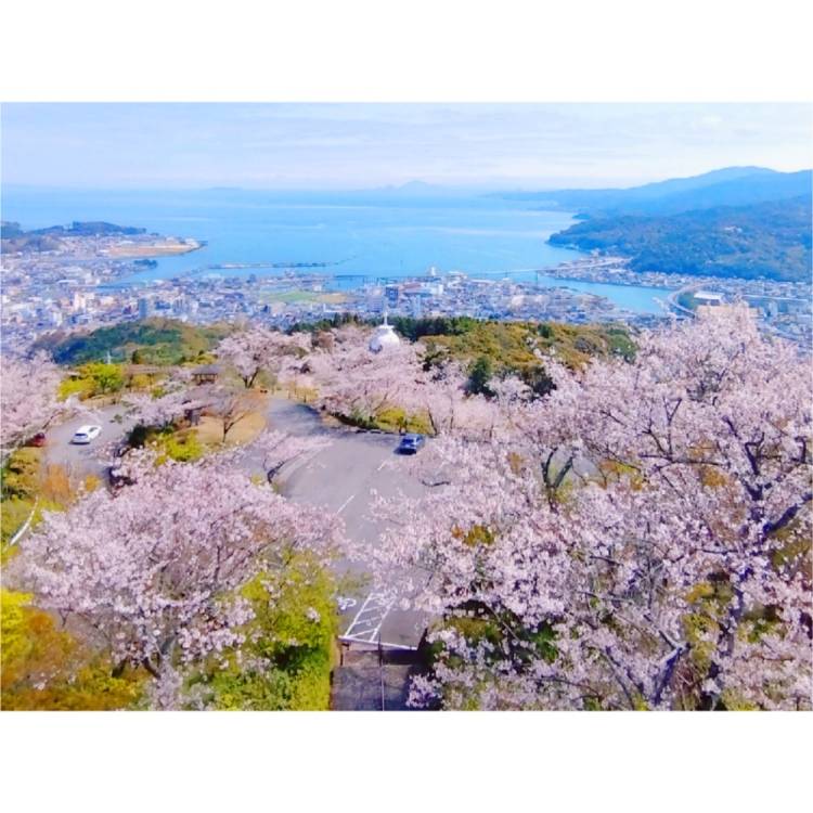 もも