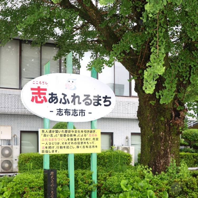 もも