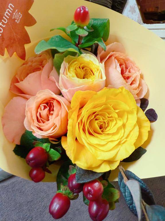 ? : とっても幸せなお時間でしたっ