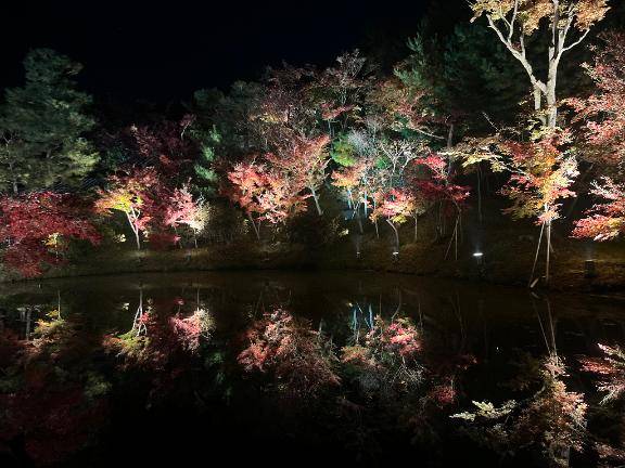 12月スタート～????