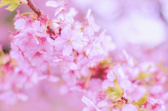 やったー(((o(*ﾟ▽ﾟ*)o)))