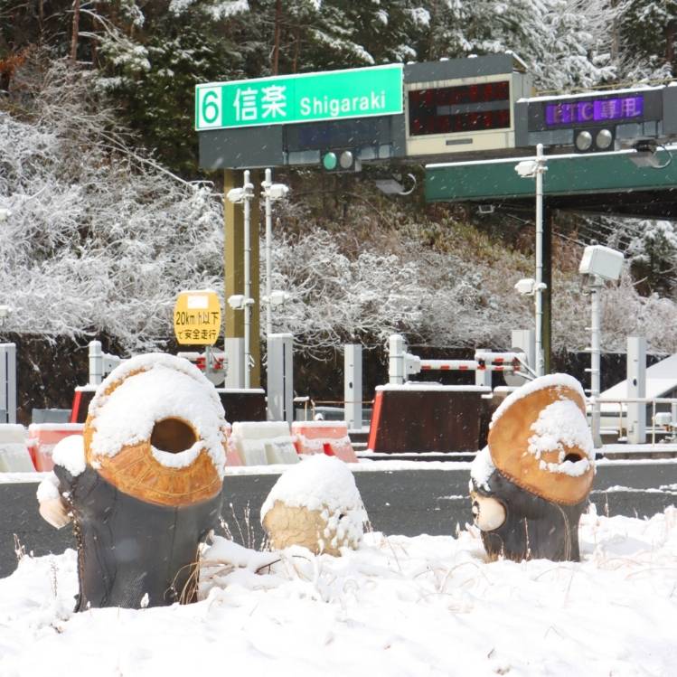 桃井　もも（セレブクィーン）