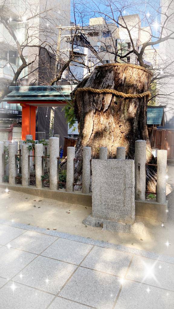 パワーを感じたので、、、?