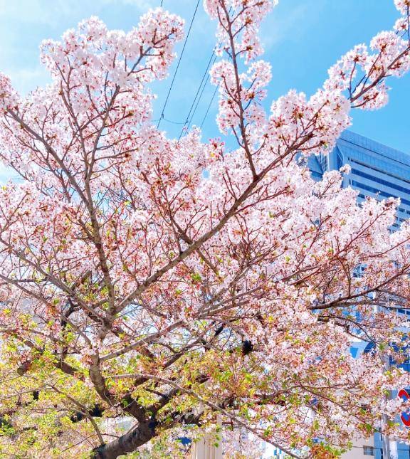 明日は久々の一日中オフ日?