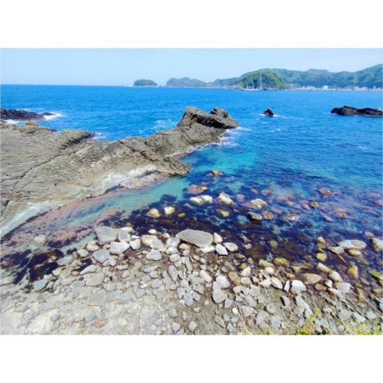 もも
