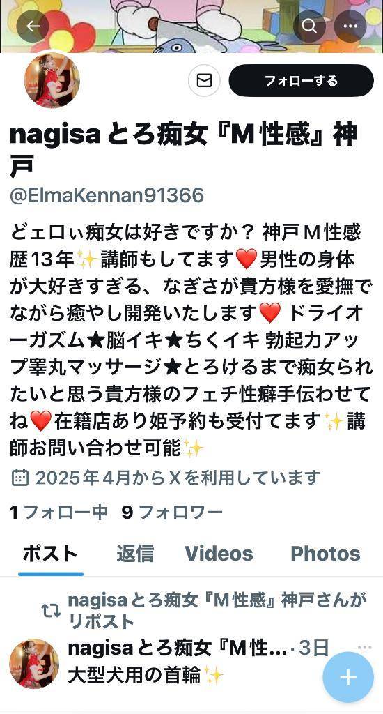 またまた偽物垢ご協力お願いします(;_;)