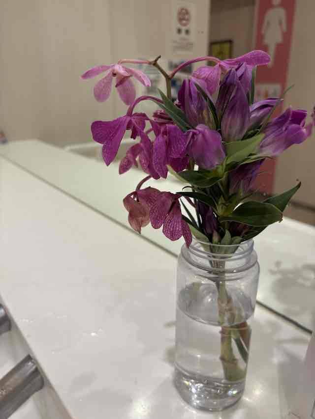 ララ・リゾートのお客様♪