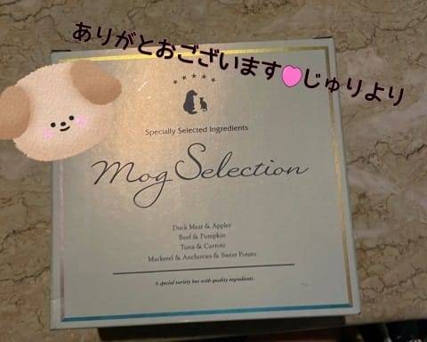 ♥♥新年あけましておめでとおございます♥️♥️