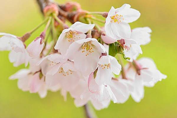 久々出勤です🌸✨🌸