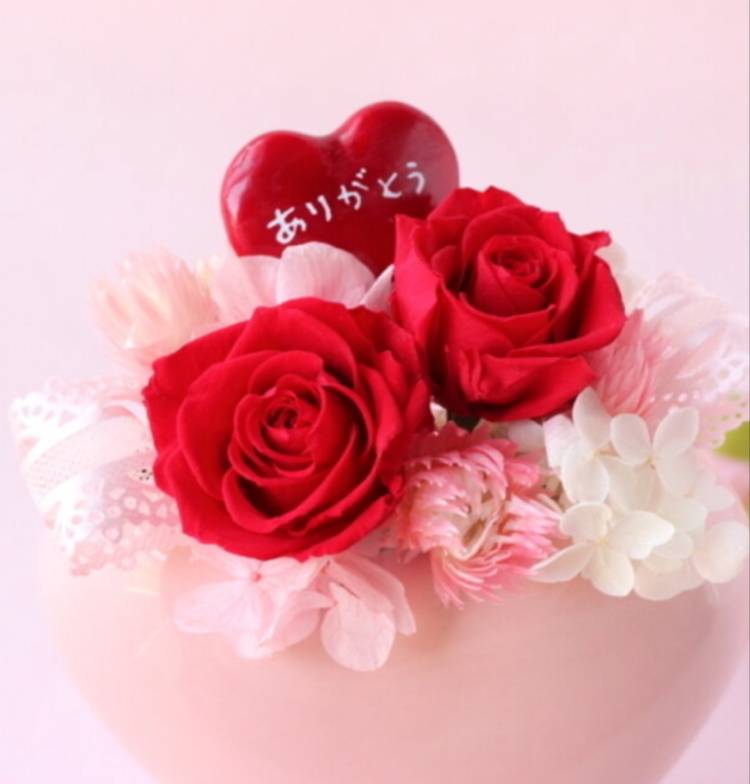 4月13日(日)のお礼です(๑˃̵ᴗ˂̵)❤️✨