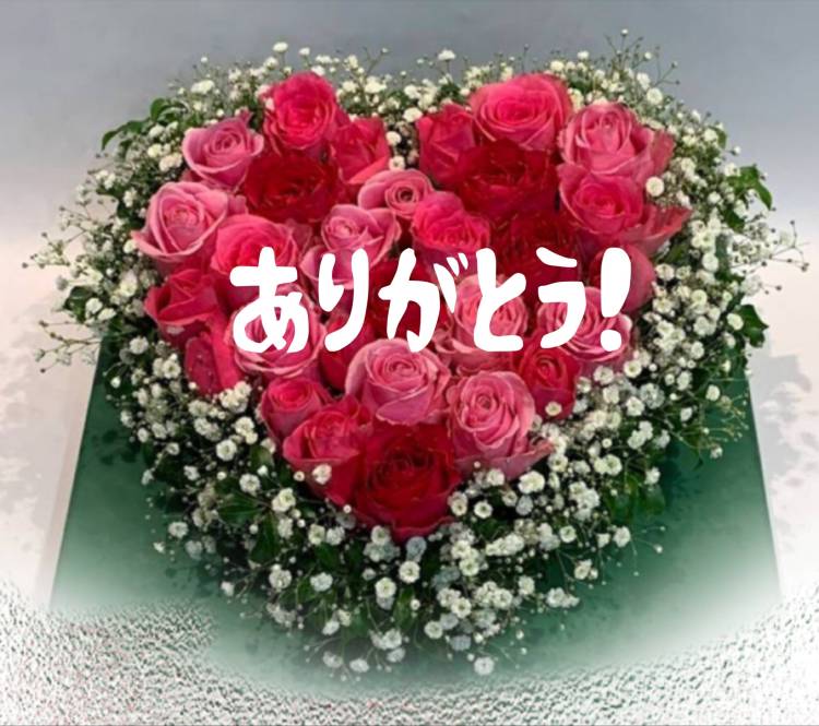 5月3日(祝土)のお礼です(๑˃̵ᴗ˂̵)❤️✨