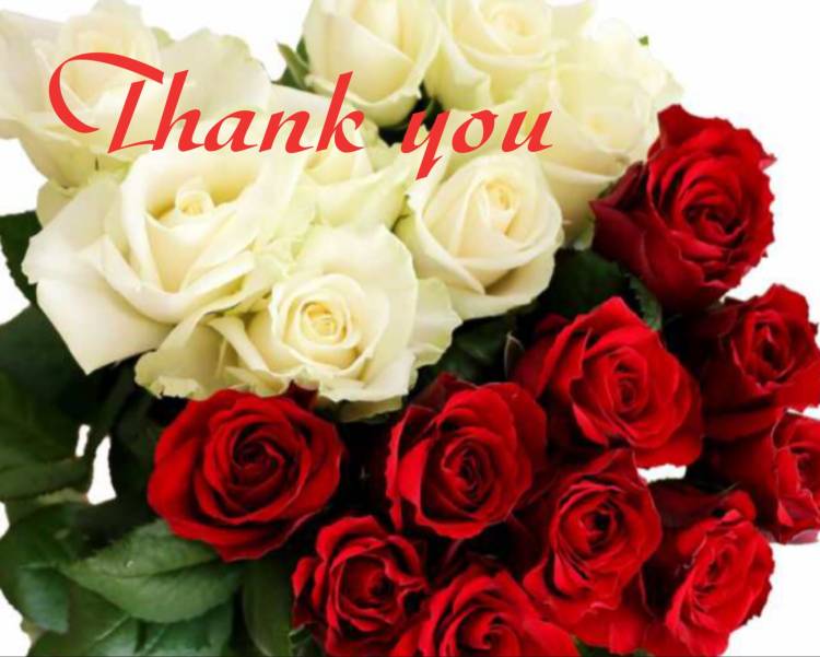 10月26日(日)のお礼です(๑˃̵ᴗ˂̵)❤️✨✨✨