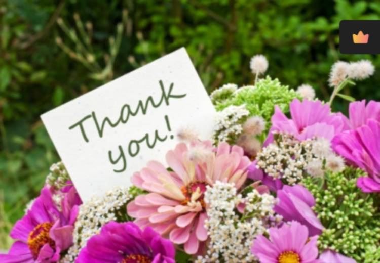 11月10日(月)夜のお礼です(๑˃̵ᴗ˂̵)❤️✨✨