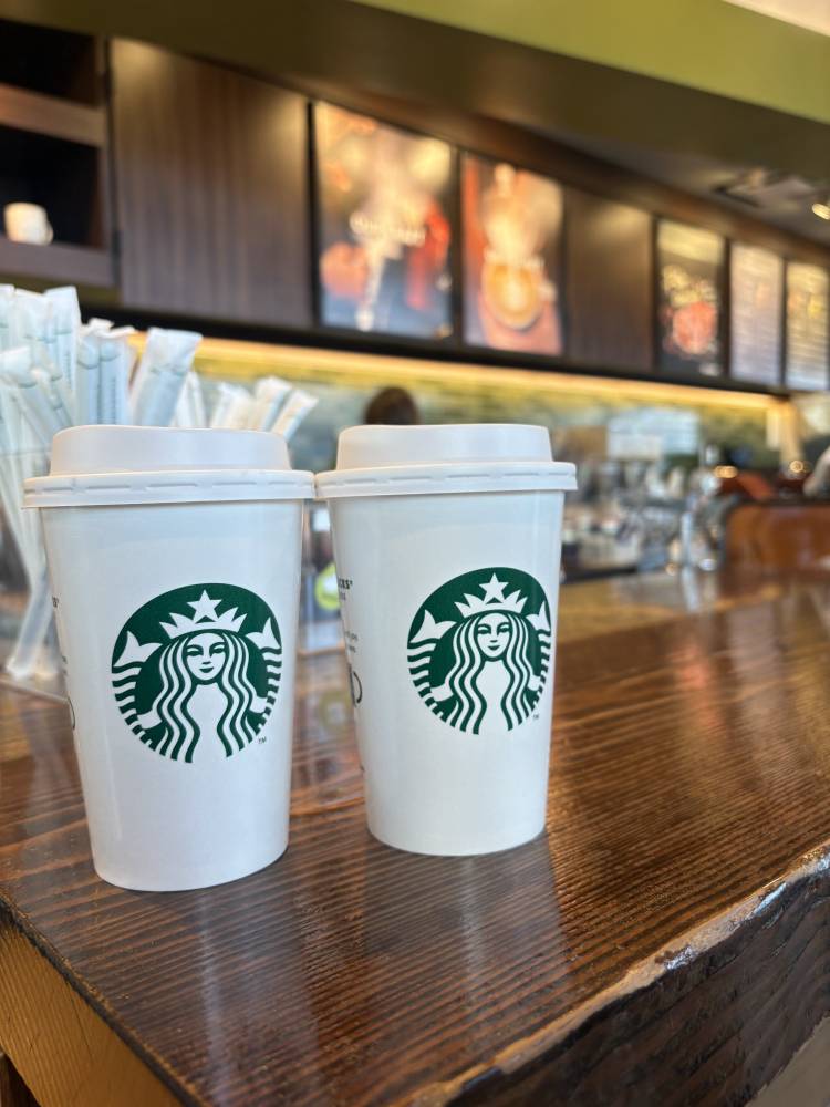 急遽お休み頂きます😢