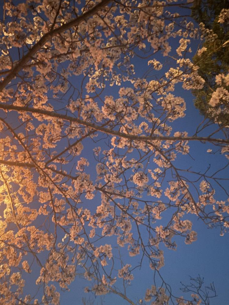 ゆま（土山熟女・美少女ならココ！）